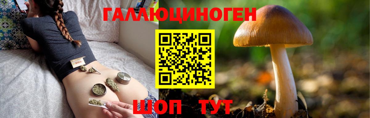 Серпухов  Псилоцибиновые грибы Psilocybe  Вход с VPN 